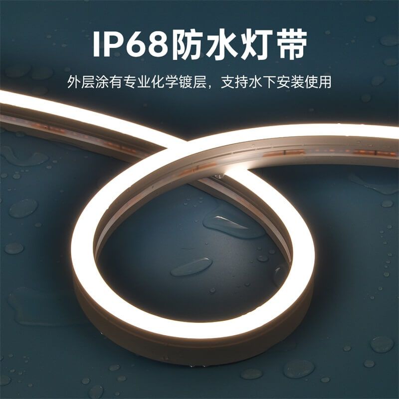 IP68防水灯带泳池户外专属一体注塑成型工艺低压霓虹灯带20x12 侧发光 - 5