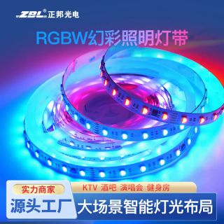 DMX512 RGBW幻彩灯带四合一60灯每米12mm DC24V - 2