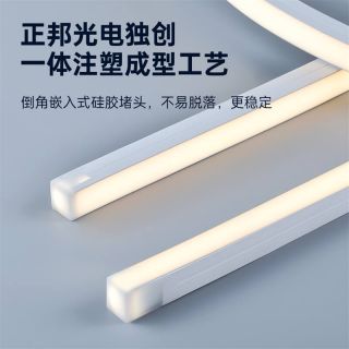 户外防水泳池灯带IP68一体注塑成型低压15x16正发光 - 1