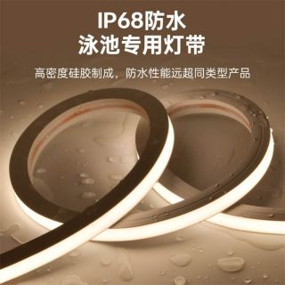 户外防水泳池灯带IP68一体注塑成型低压15x16正发光 - 4