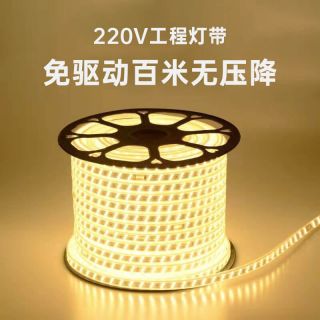 免驱动220V高压LED灯带100米无压降工程室外专用高压灯带 - 1