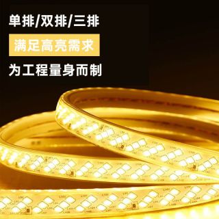 免驱动220V高压LED灯带100米无压降工程室外专用高压灯带 - 5